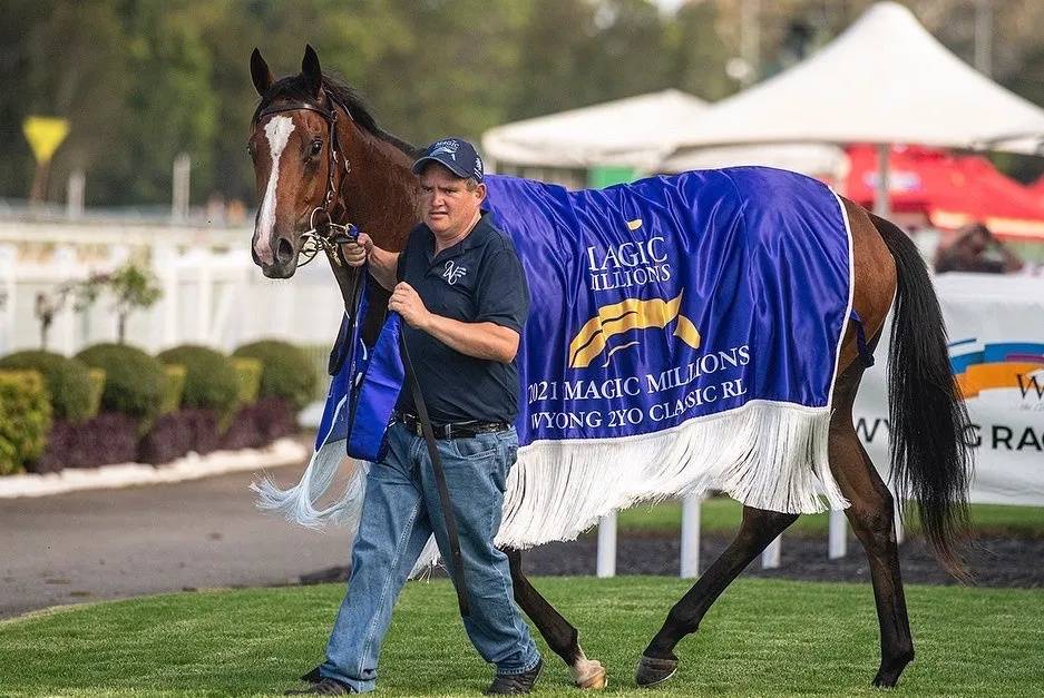 关于熊野胜县五连胜，靠防守业去常胜将好夺冠的信息