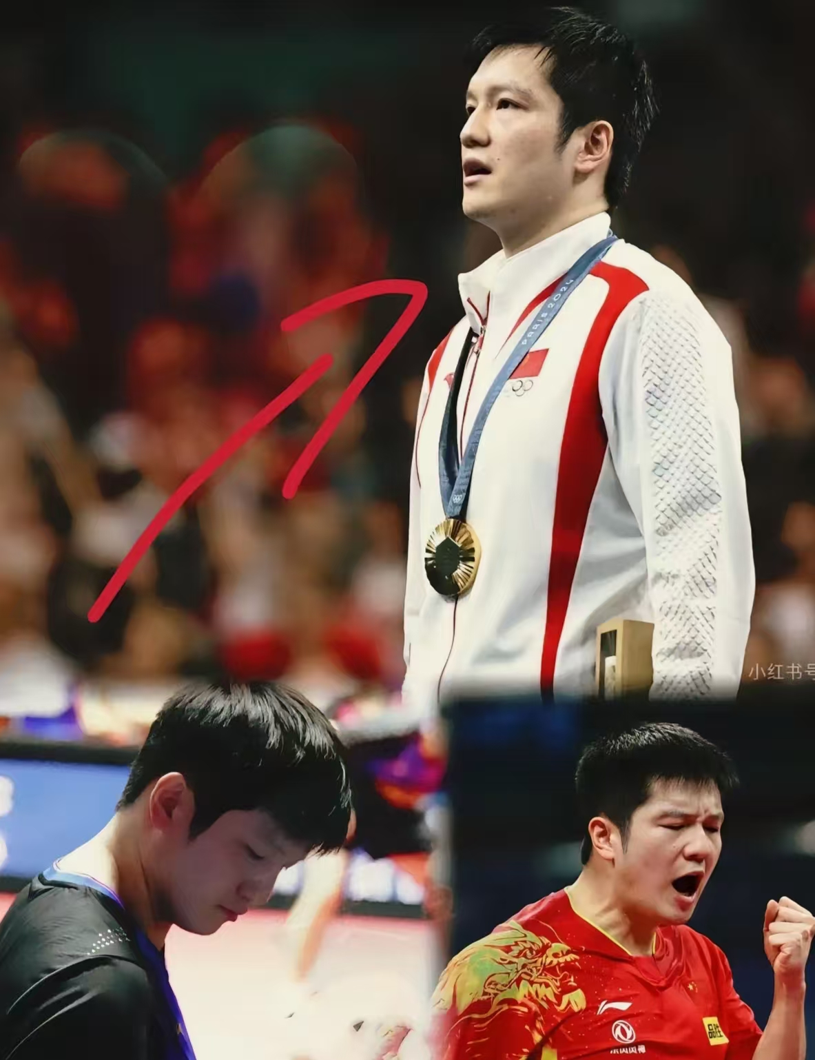 中国队完胜日本队，樊振东状态火热