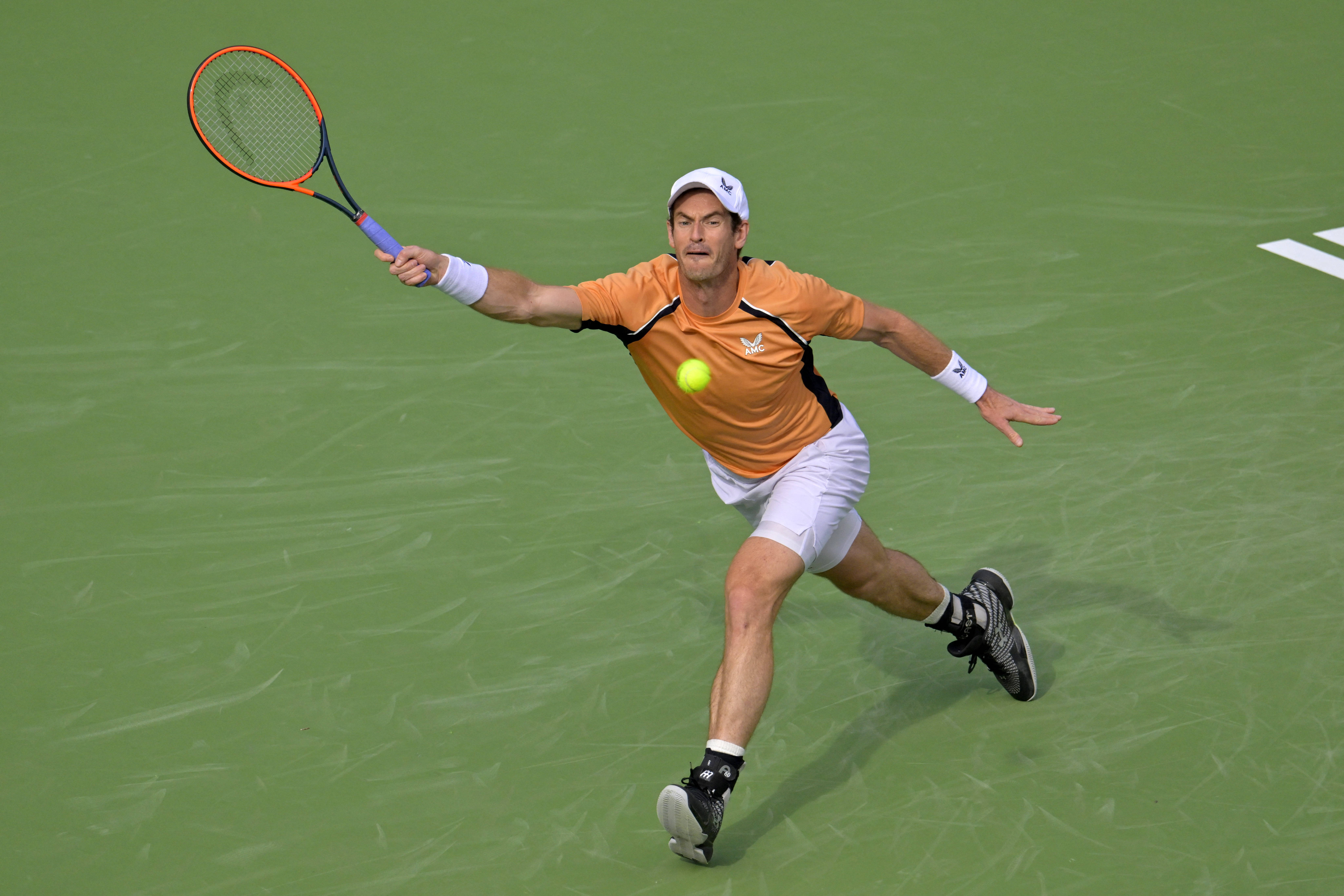 包含法网力克蒙特卡洛大师赛，穆雷高光表现的词条