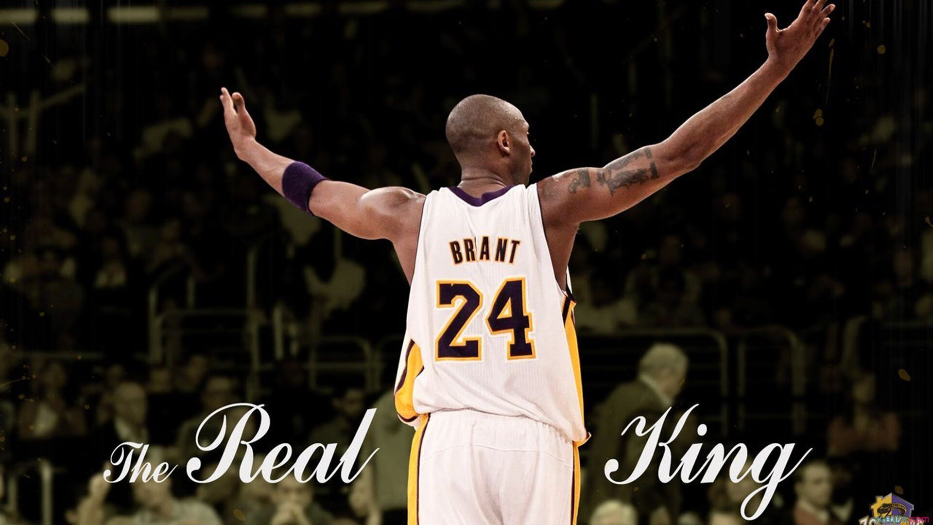 开云下载-跨界竞技场，当76人险胜广东队，拉梅洛在欧冠半决赛接管比赛